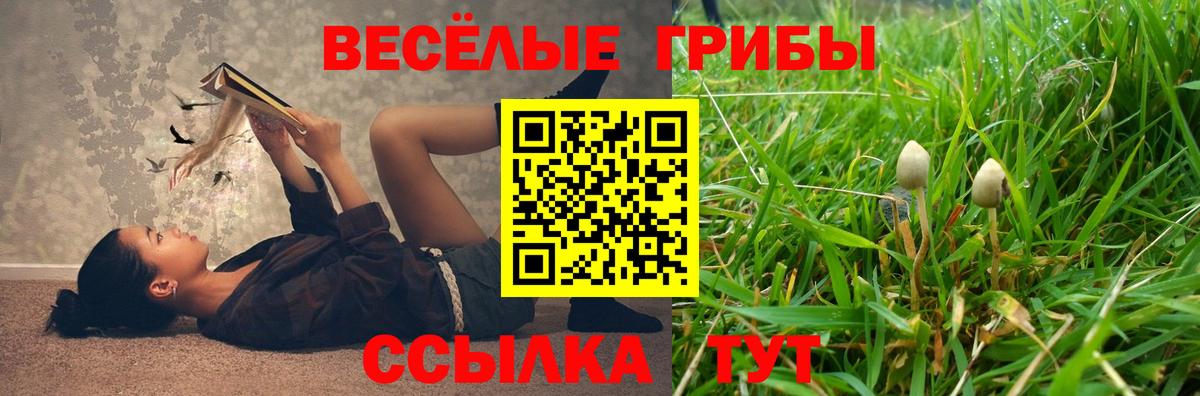 Галлюциногенные грибы прущие грибы Новоуральск